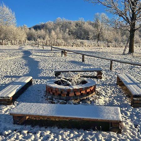 Casuta Din Stejari-Transalpina Villa Novaci-Străini Екстериор снимка