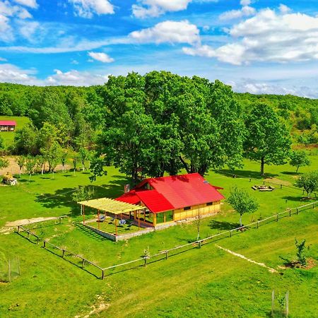 Casuta Din Stejari-Transalpina Villa Novaci-Străini Екстериор снимка