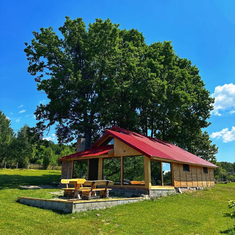 Casuta Din Stejari-Transalpina Villa Novaci-Străini Екстериор снимка
