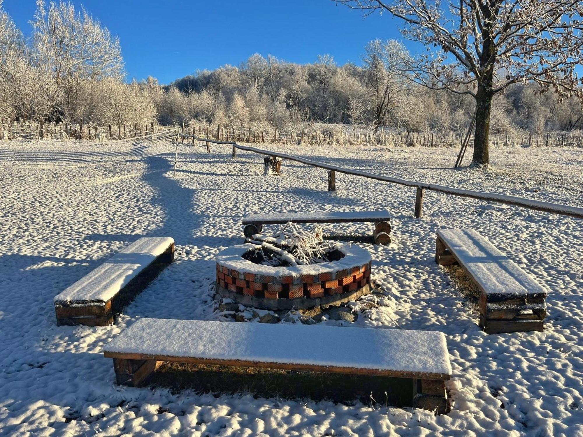 Casuta Din Stejari-Transalpina Villa Novaci-Străini Екстериор снимка