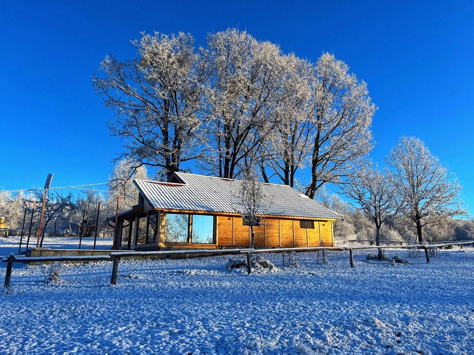 Casuta Din Stejari-Transalpina Villa Novaci-Străini Екстериор снимка