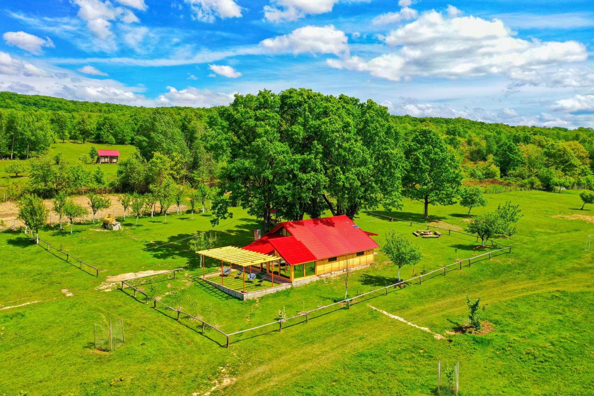 Casuta Din Stejari-Transalpina Villa Novaci-Străini Екстериор снимка